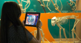 Augmented Reality in Museums and Exhibitions: Improving Visitors Experience